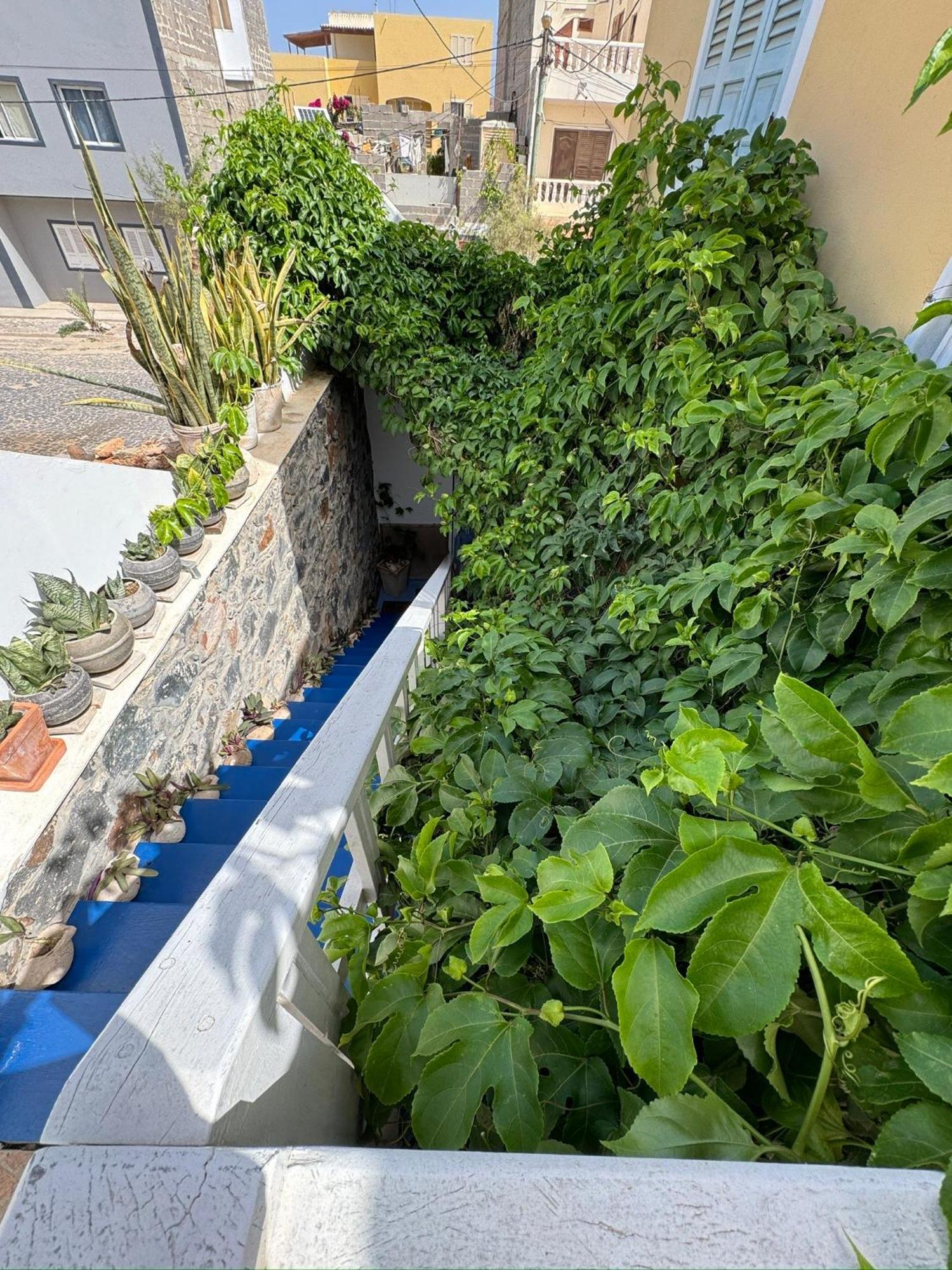 B&B Mi Ma Bo, Sal Rei, Boa Vista, Cape Verde, Free Wi-Fi Exterior foto
